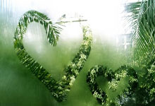 开云体育入口-意大利网球队绝地反击世界网球队，瓦林卡高光表现