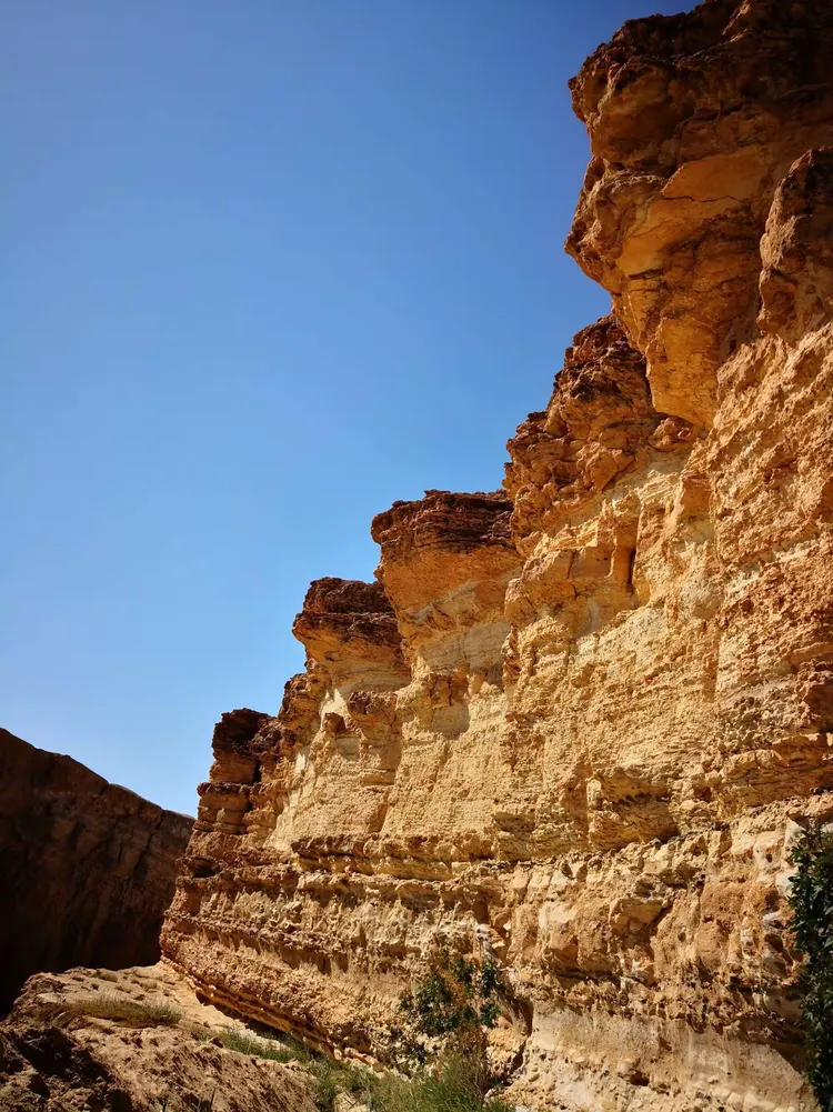 突尼斯代表团斩获惊喜，突破神明