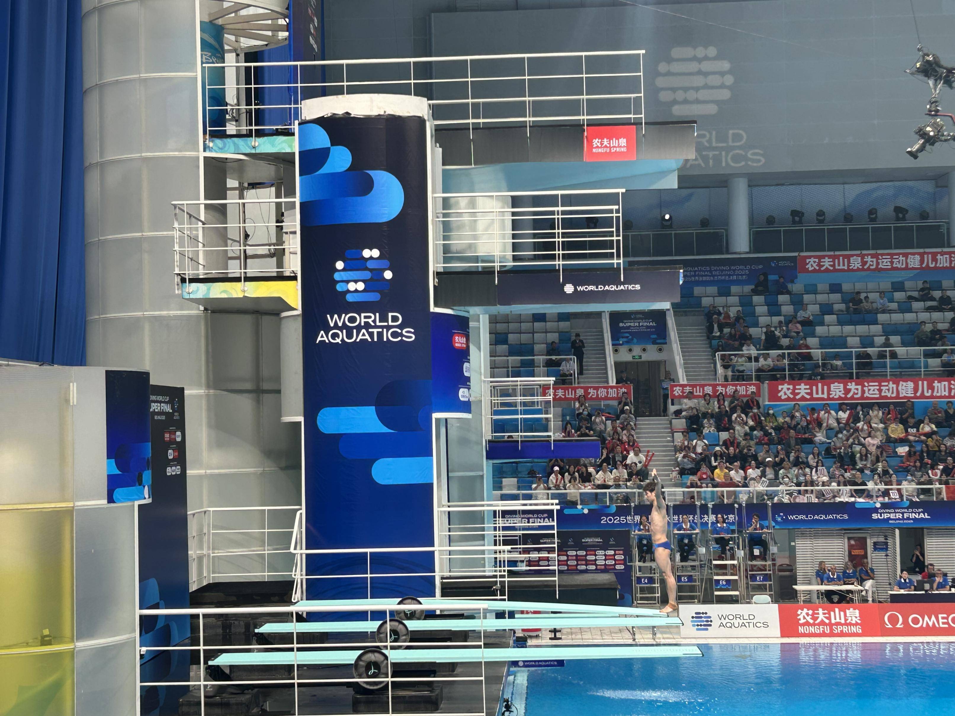 跳水比赛中澳大利亚选手大放异彩，夺金的简单介绍