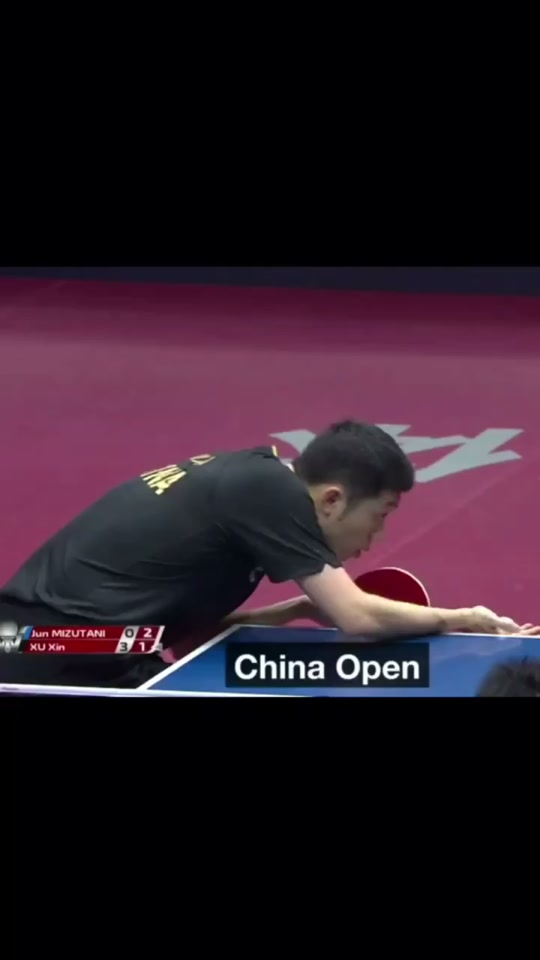 包含奥地利乒乓球队轻取德国乒乓球队，许昕送出助攻的词条